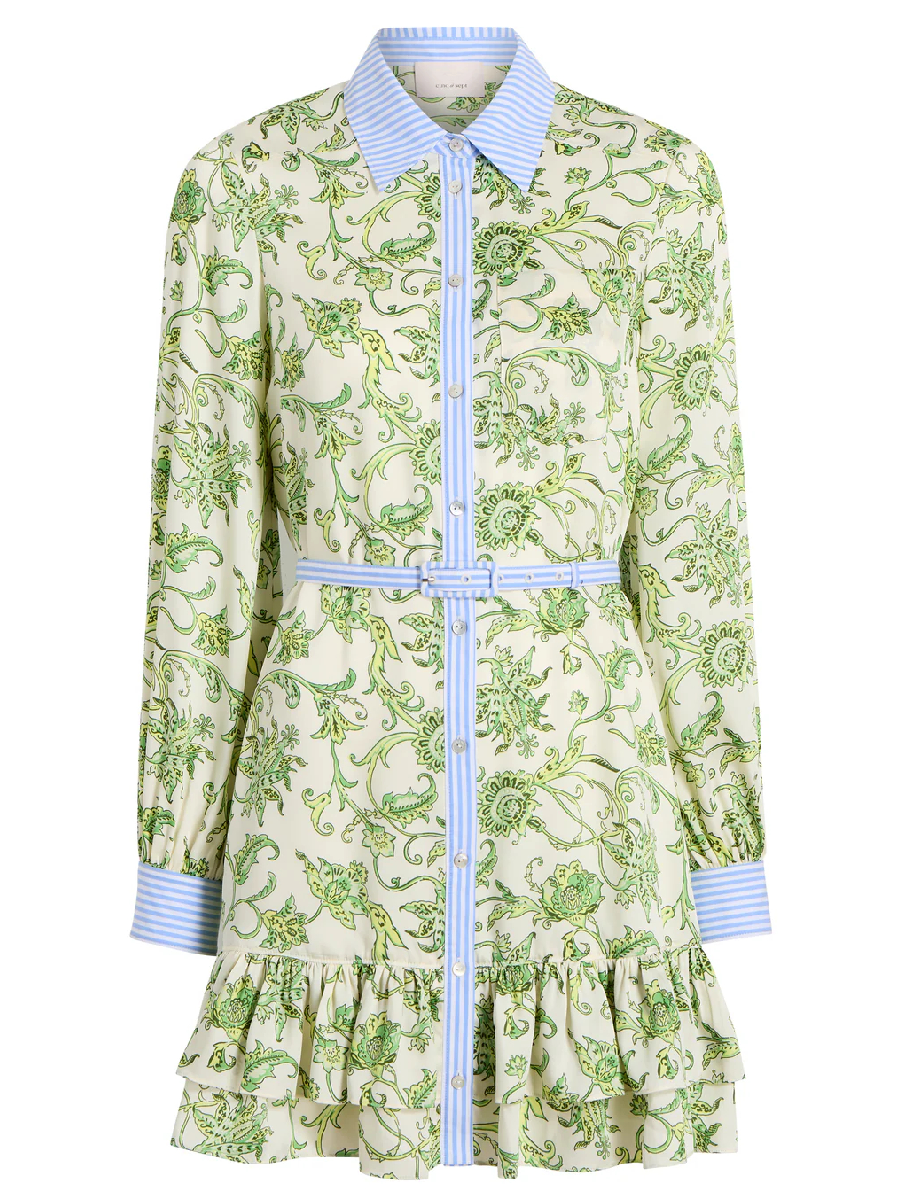 Ivy Paisley Print Dress