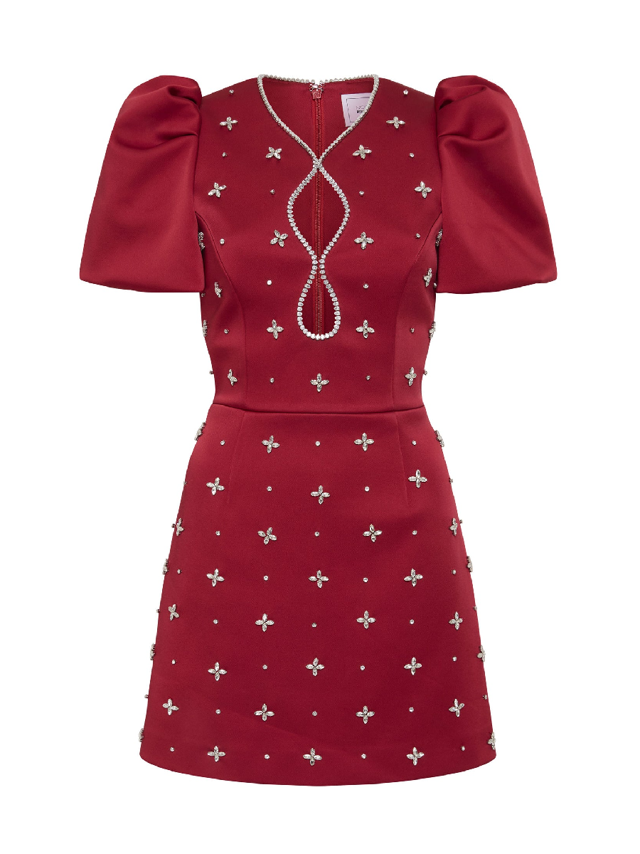 Chic Puff Sleeve Mini Dress