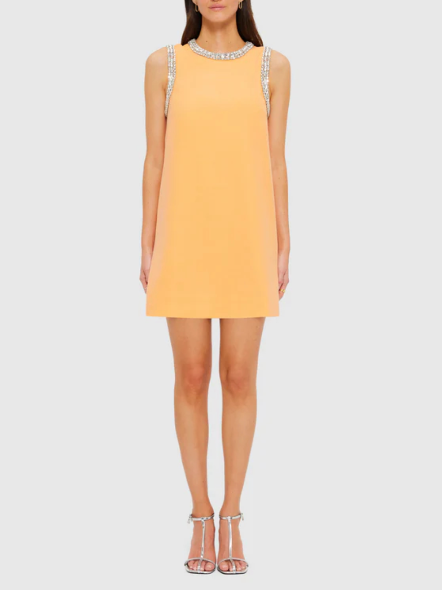 Sleeveless Premium Embellished Dress