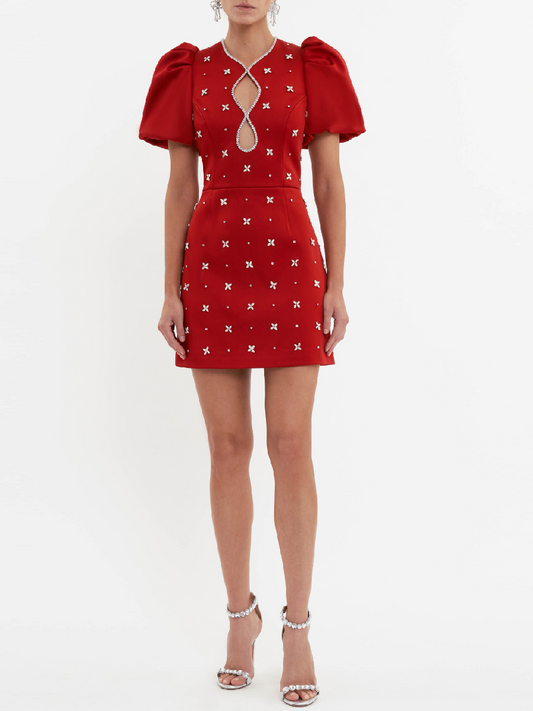 Chic Puff Sleeve Mini Dress