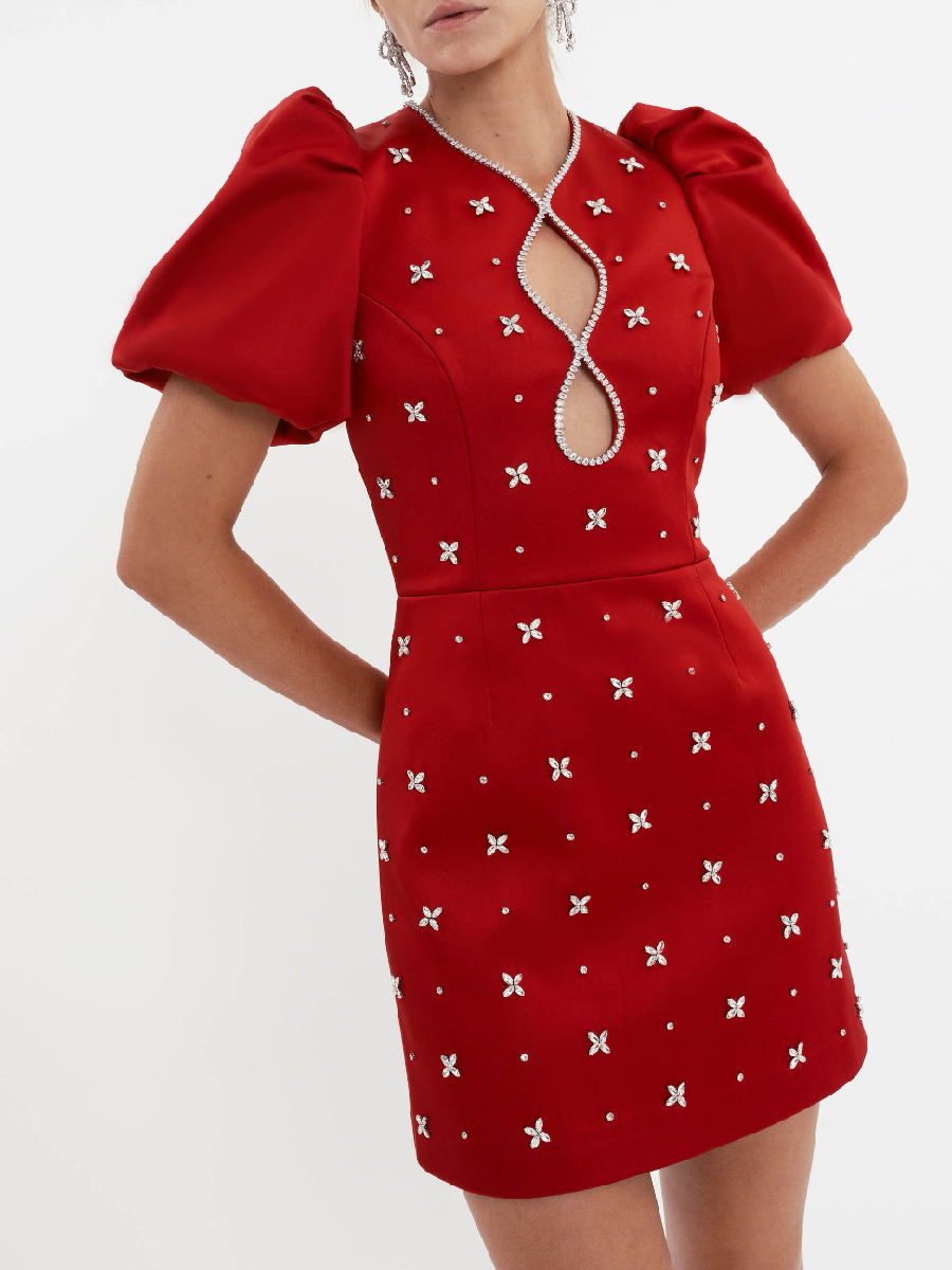 Chic Puff Sleeve Mini Dress