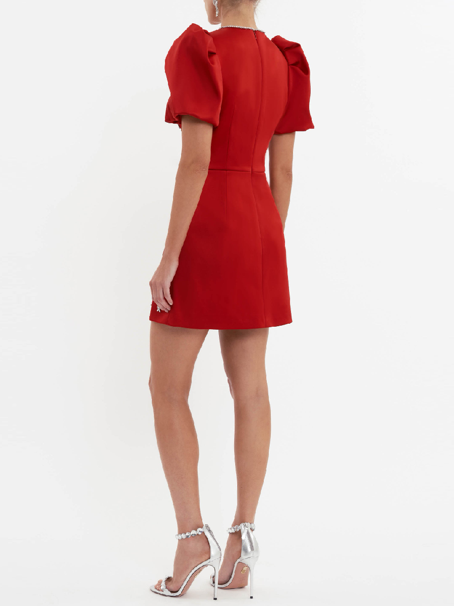 Chic Puff Sleeve Mini Dress
