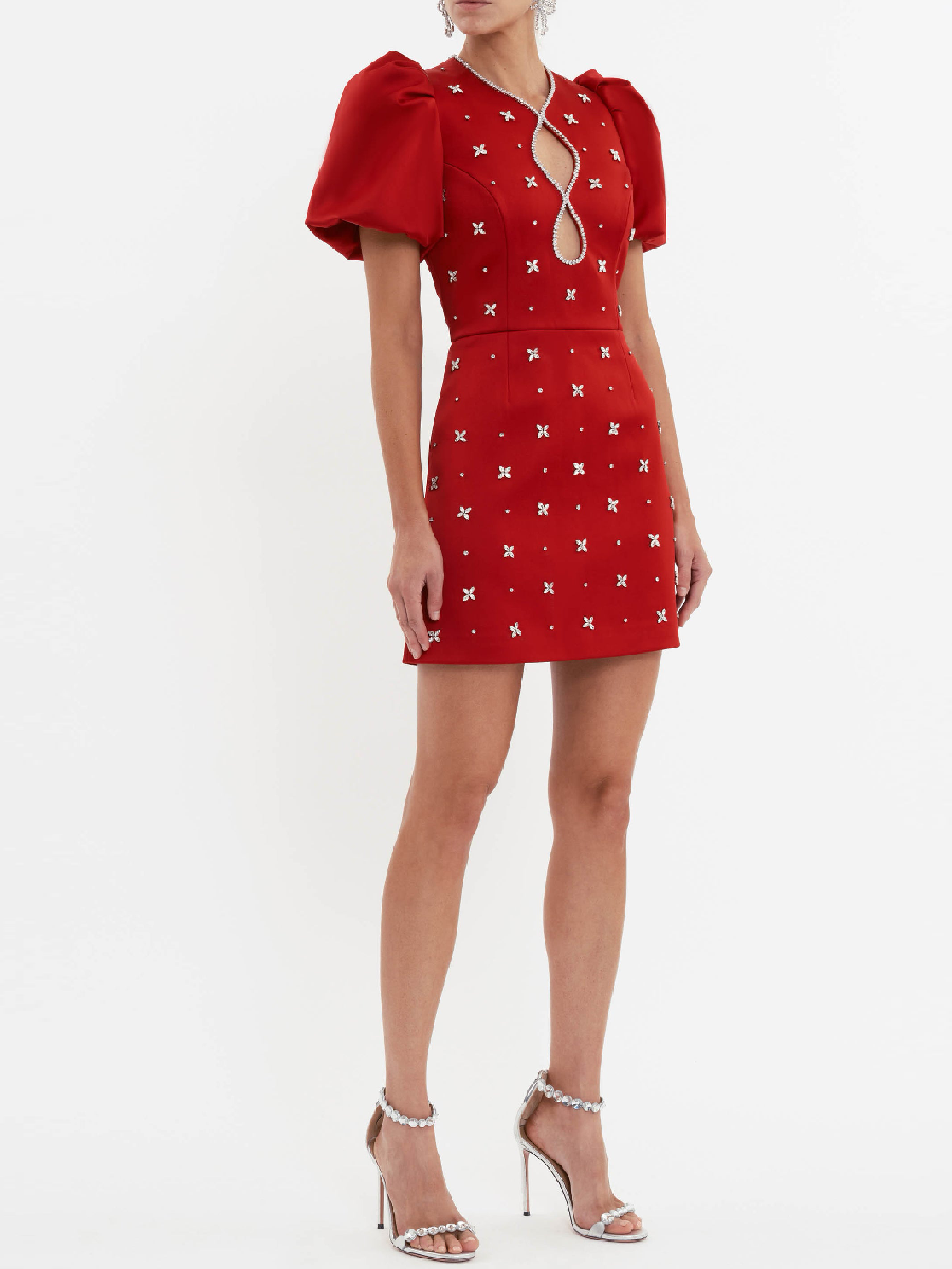Chic Puff Sleeve Mini Dress