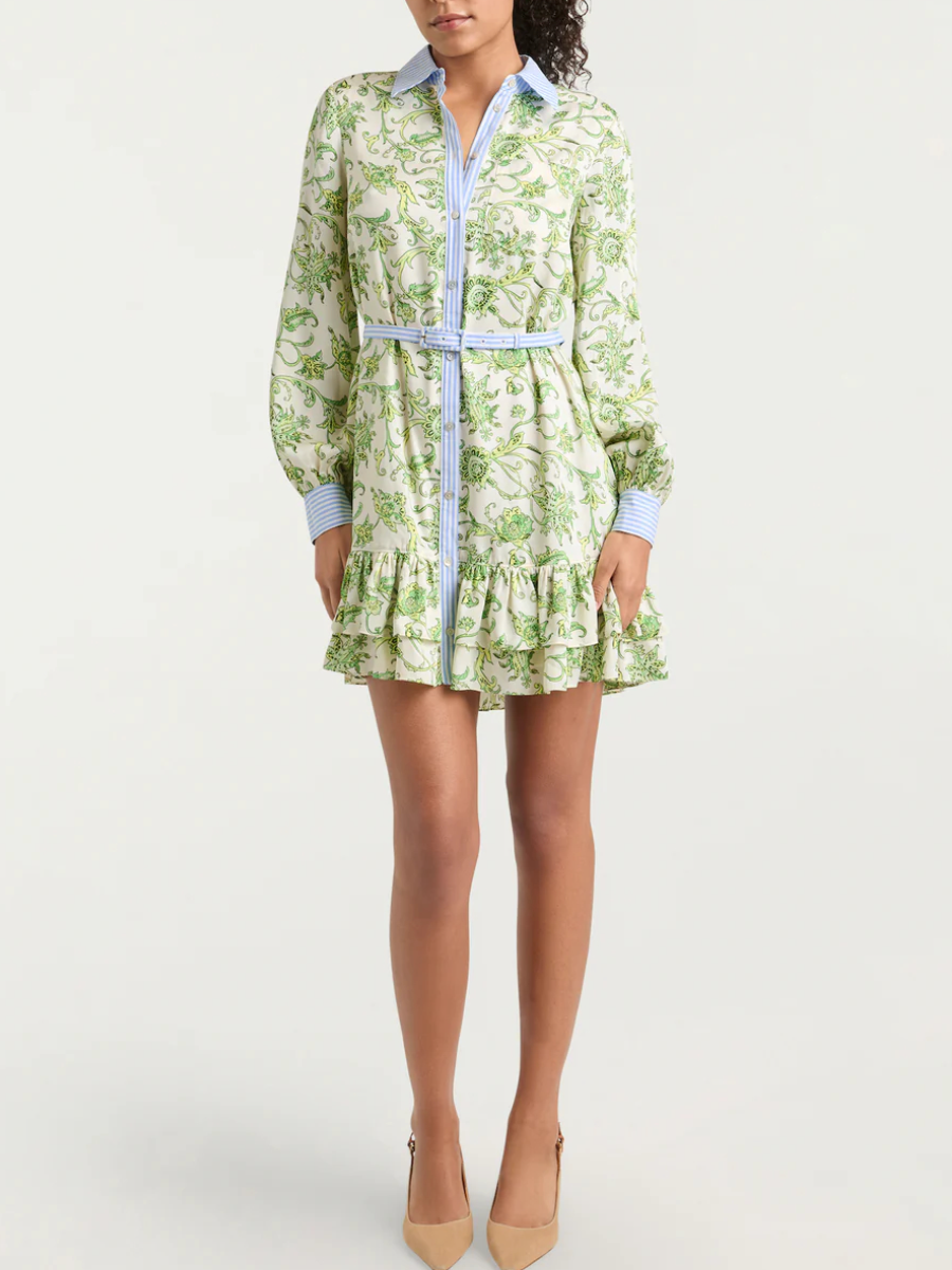 Ivy Paisley Print Dress