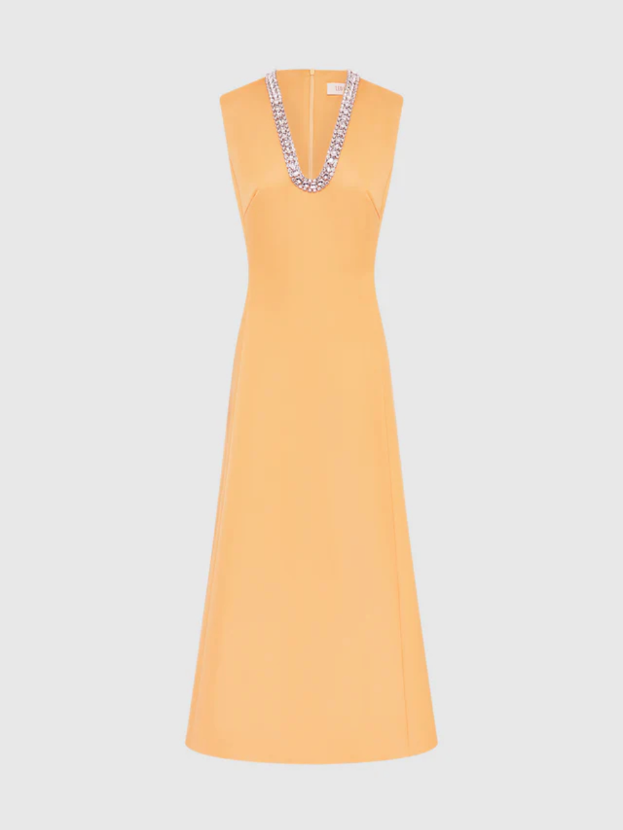 Sleeveless Premium Embellished Dress
