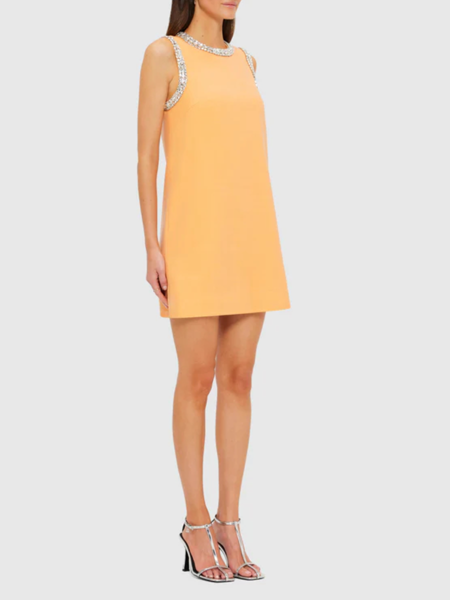 Sleeveless Premium Embellished Dress