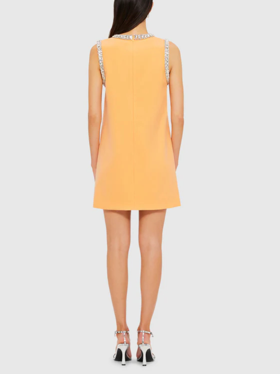 Sleeveless Premium Embellished Dress