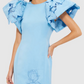 Cornflower Blue Applique Maxi Dress