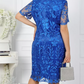 Elegant Short Sleeve Lace Dress