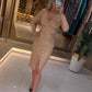 V Neck Sequinned Dress