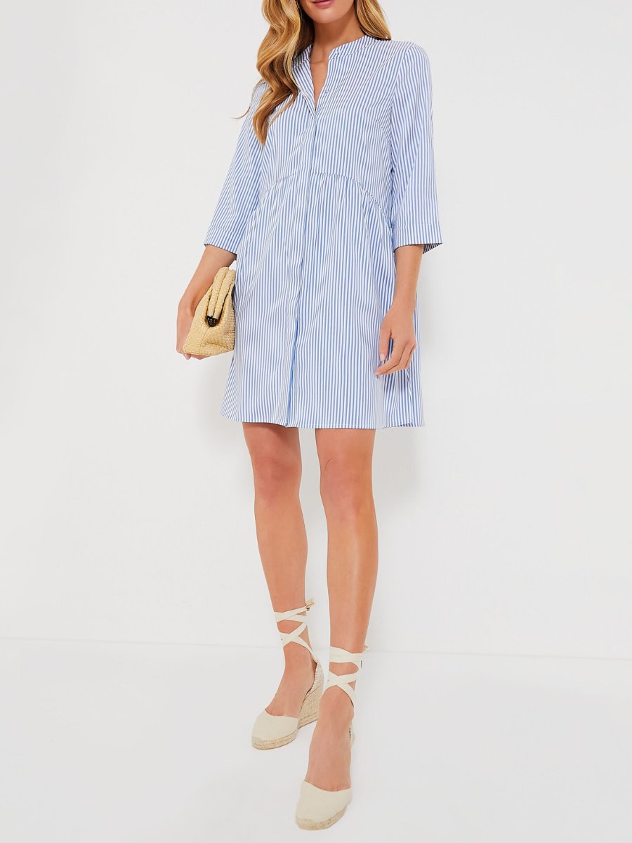 The Royal Shirt Dress